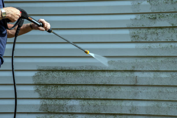 Best Pressure Washing Siding  in Bridgeport, PA