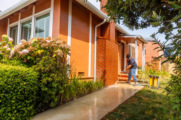 Best Affordable Pressure Washing  in Bridgeport, PA